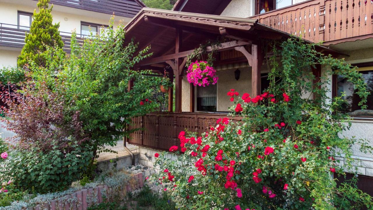 Alp House Hotel Bohinjska Bela Exterior photo